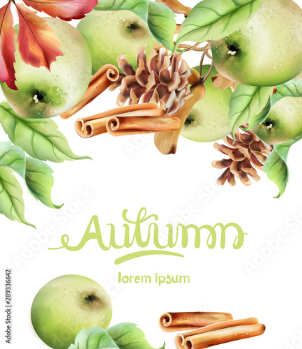 Autumn fruits and leaves vector card. Isolated background. Apple, cinnamon and leaves