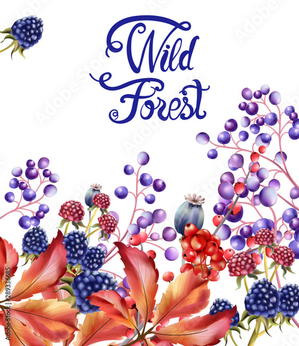 Wild forest flowers and fruits bouquet card vector watercolor. Isolated backg...