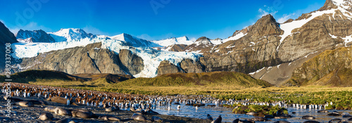 Fotografia Glaciers in Gold Harbor South Georgia Island