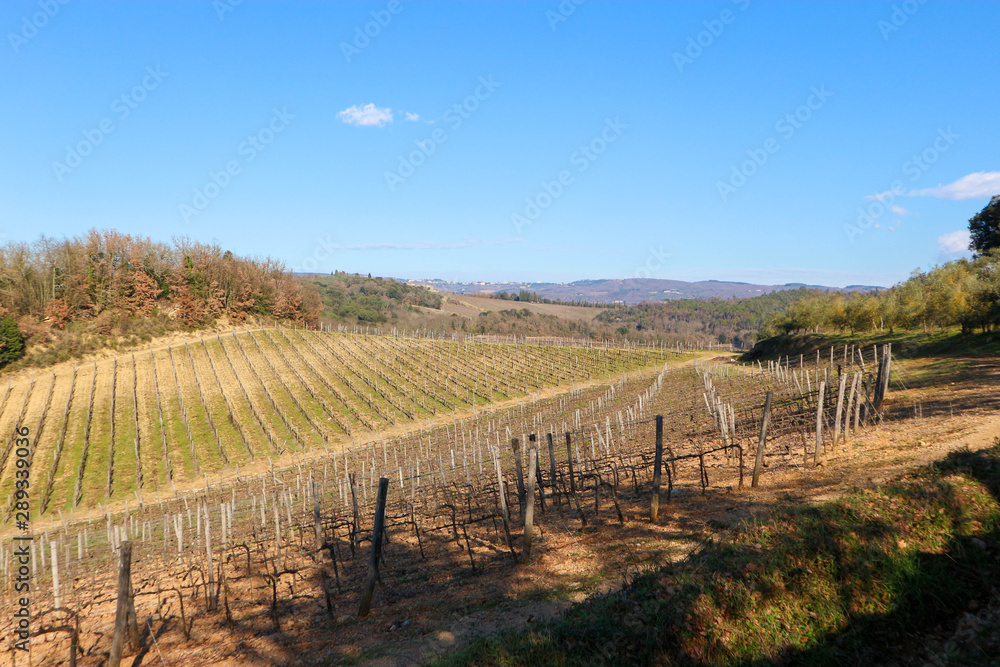 winter view with vineyard in tuscany italy 