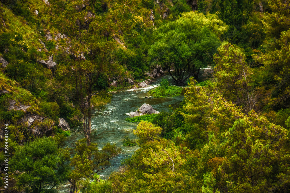 El Rio El Rio