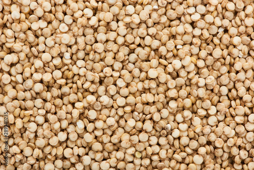 top view of small white quinoa seeds