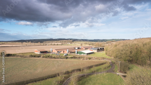 Independent poultry farm