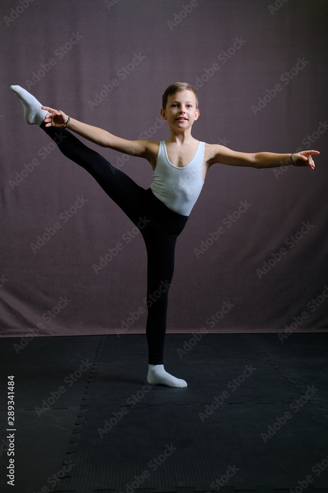 Ballet Actor Performs Balance Ballet Actor Performs Balance