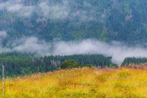 Fog spreads in Tatra mountains