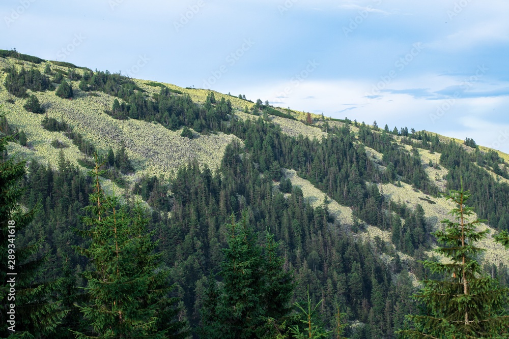mountain range gorgany in the carpathian mountains mountain range gorgany in the carpathian mountains