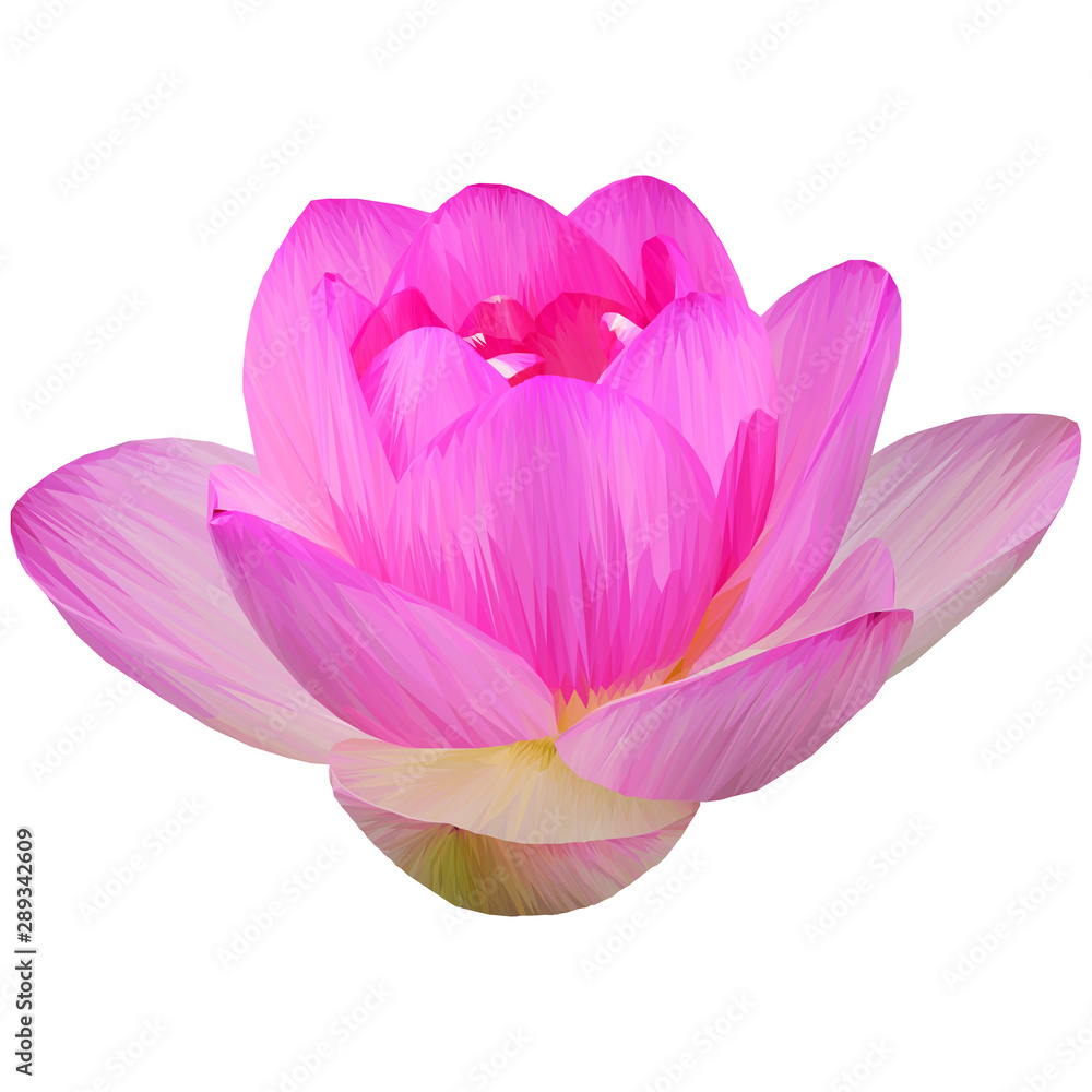 Low poly illustration of a pink lotus flower