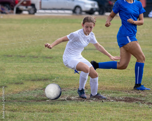 Young athletic teen girl playing in a soccer game © Joe