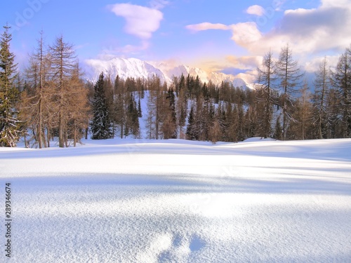 Scenic mountain winter landscape with footprints covered with fresh snow © Jansk