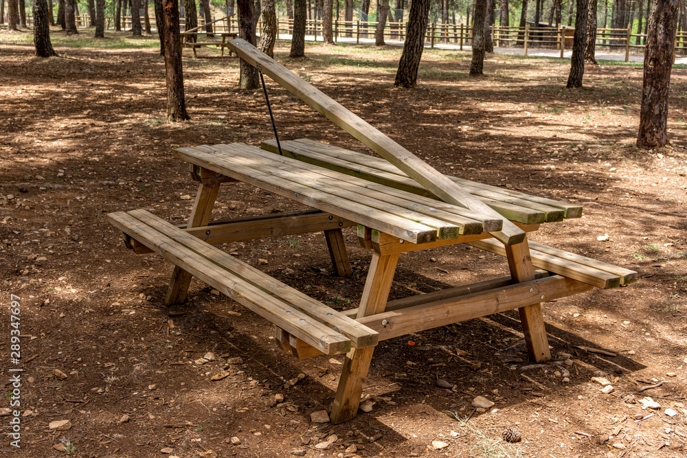 Picnic table in a forest area Picnic table in a forest area