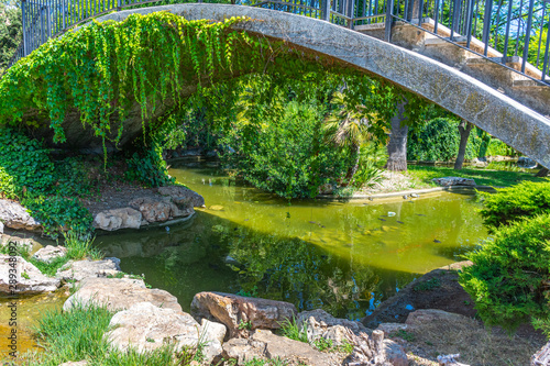 Italy, Bari, view of a pond among various plants in a public park