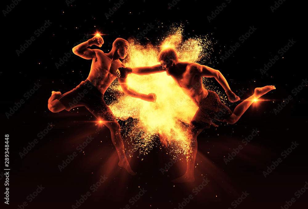 MMA boxers fighters fight in fights without rules