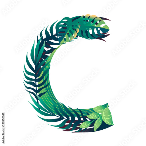 Leaf letter C with diffirent types of green leaves and foliage flat vector illustration isolated on white background