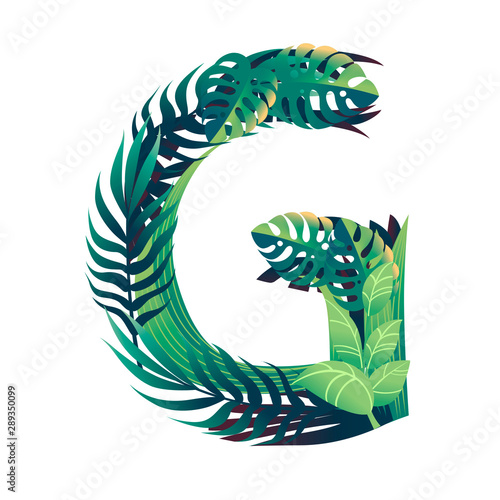 Leaf letter G with diffirent types of green leaves and foliage flat vector illustration isolated on white background