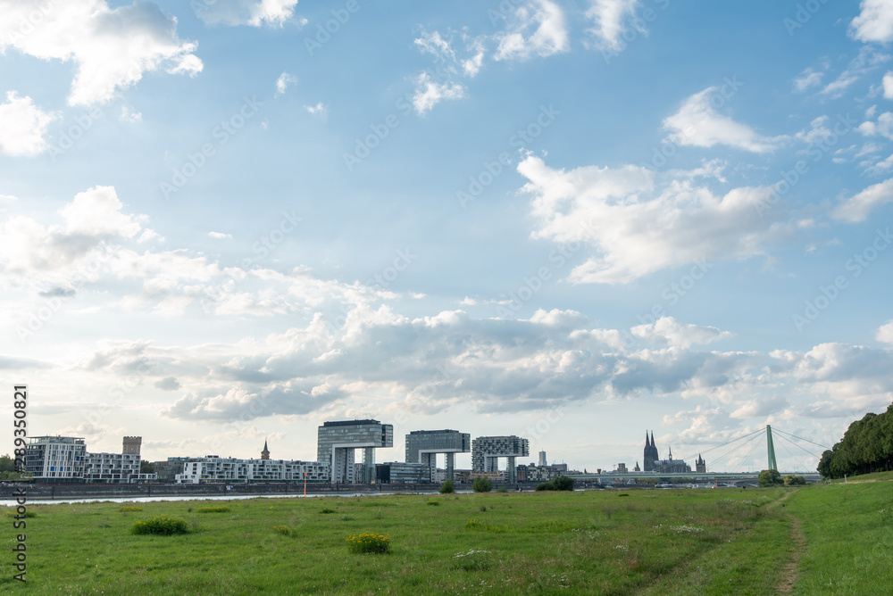 panoramic skyline view of the rhine shore in cologne with meadow in the foreground and crane houses with cathedral in the back on a sunny summer day with copy space panoramic skyline view of the rhine shore in cologne with meadow in the foreground and crane houses with cathedral in the back on a sunny summer day with copy space