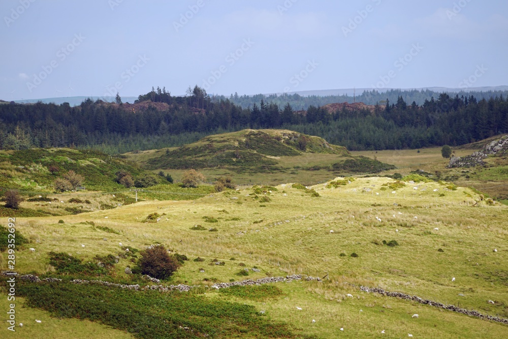 Pastoral Farmland and Mountain Range