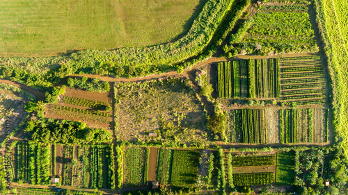 Top down view of a farm on the north shore of Oahu Hawaii