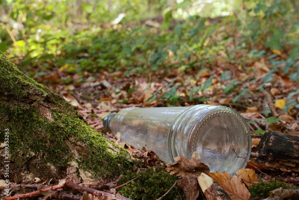 Fototapeta premium Umweltschutz, Glasflasche in der Natur