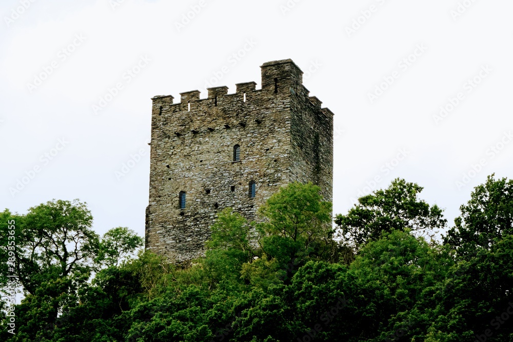 Abandoned Castle Tower