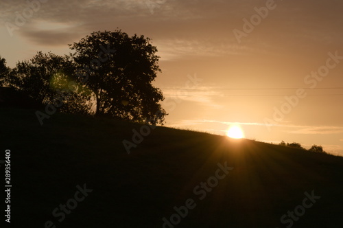 A dawn on a hill  with two trees in Cantabria, Spain © ResiLente