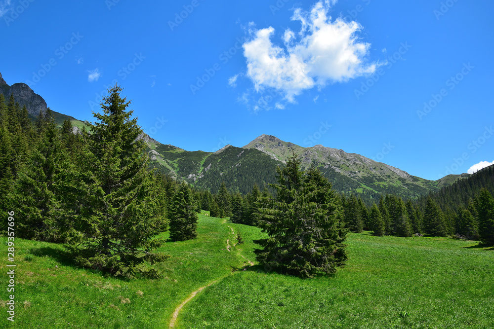 A landscape in the Belianske Tatry in Slovakia.