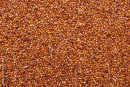 top view of uncooked organic red quinoa seeds