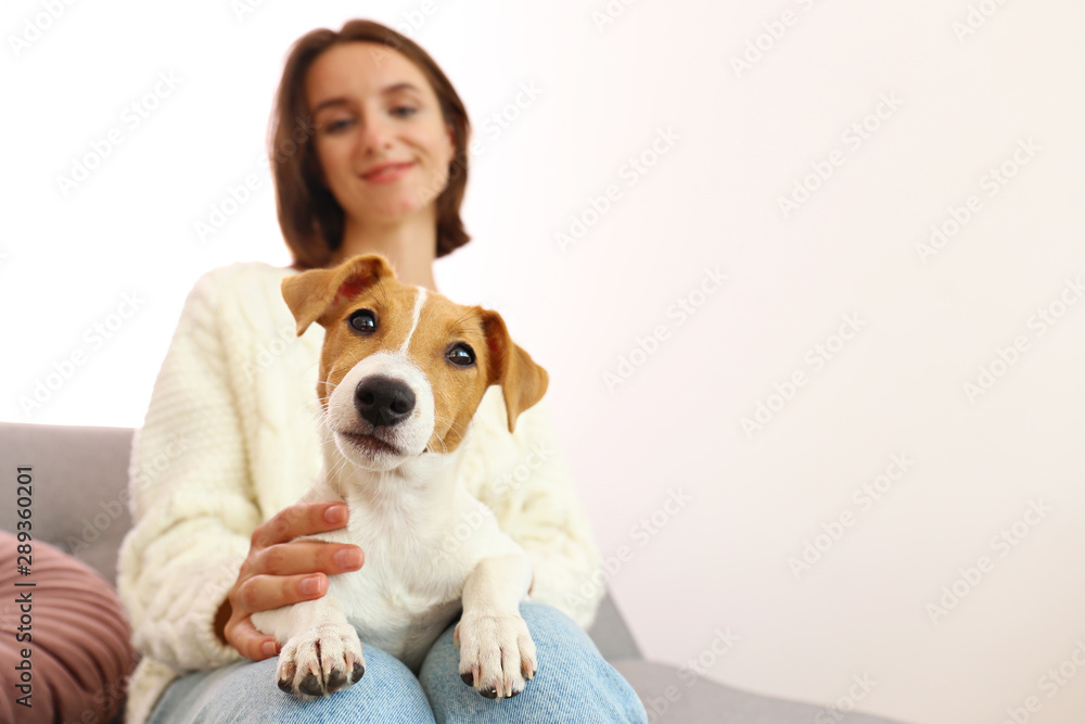 Φωτογραφία Portrait of young beautiful hipster woman with her adorable four months old jack russell terrier puppy at home in living room full of natural sunlight