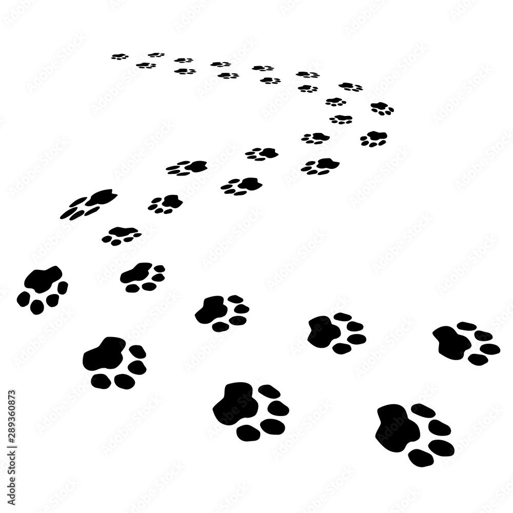 Cute dog or forest bear steps black seamless brush strokes isolated on white 3d path. Animal foot prints, pet silhouette paw imprint trails. Decorative idea for pet clinics, store decorative banners.