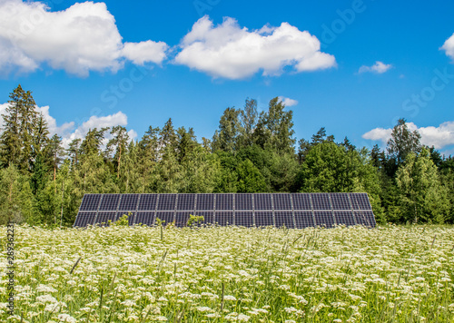 Fototapeta Naklejka Na Ścianę i Meble -  Small solar energy farm on beautiful natural meadow in nature. Renewable energy concept. Room for text.