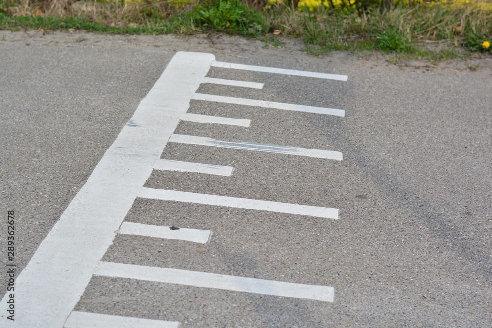 Obraz premium road with road-markings with between trees