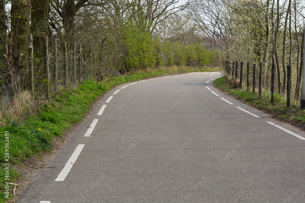road with road-markings with between trees road with road-markings with between trees