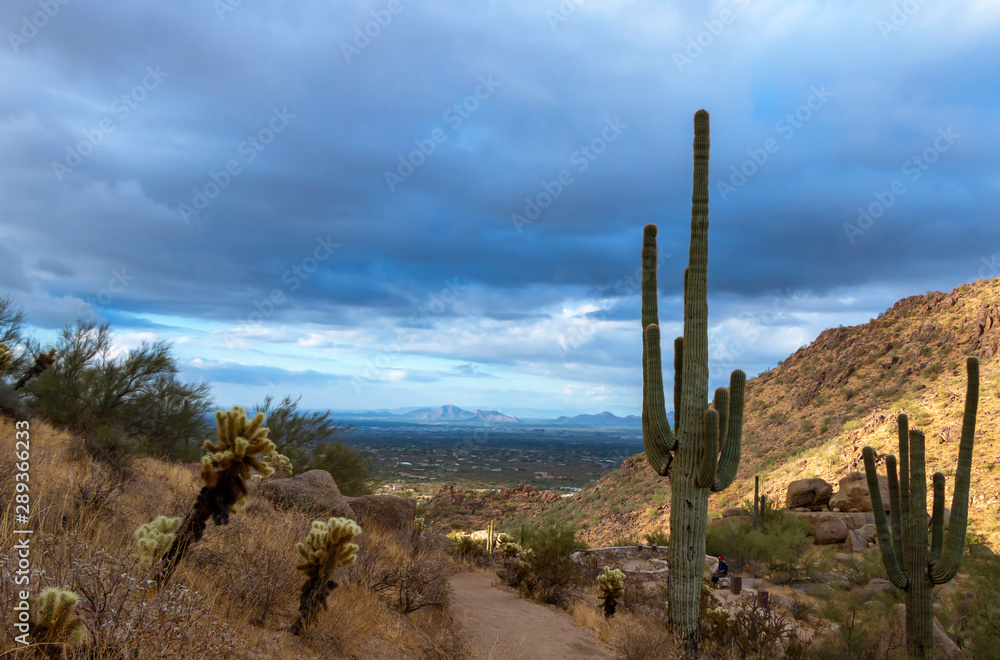 Desert Hiking Trail In North Scottsdale, AZ