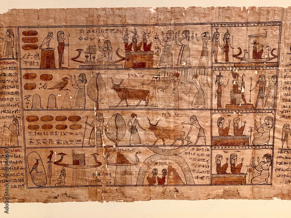 Obraz premium hieroglyphs