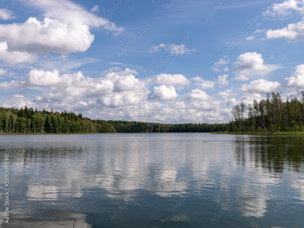 beautiful lake view, beautiful sky, Calm lake reflection against the blue sky with white clouds, Valdis lake, Turna, Latvia