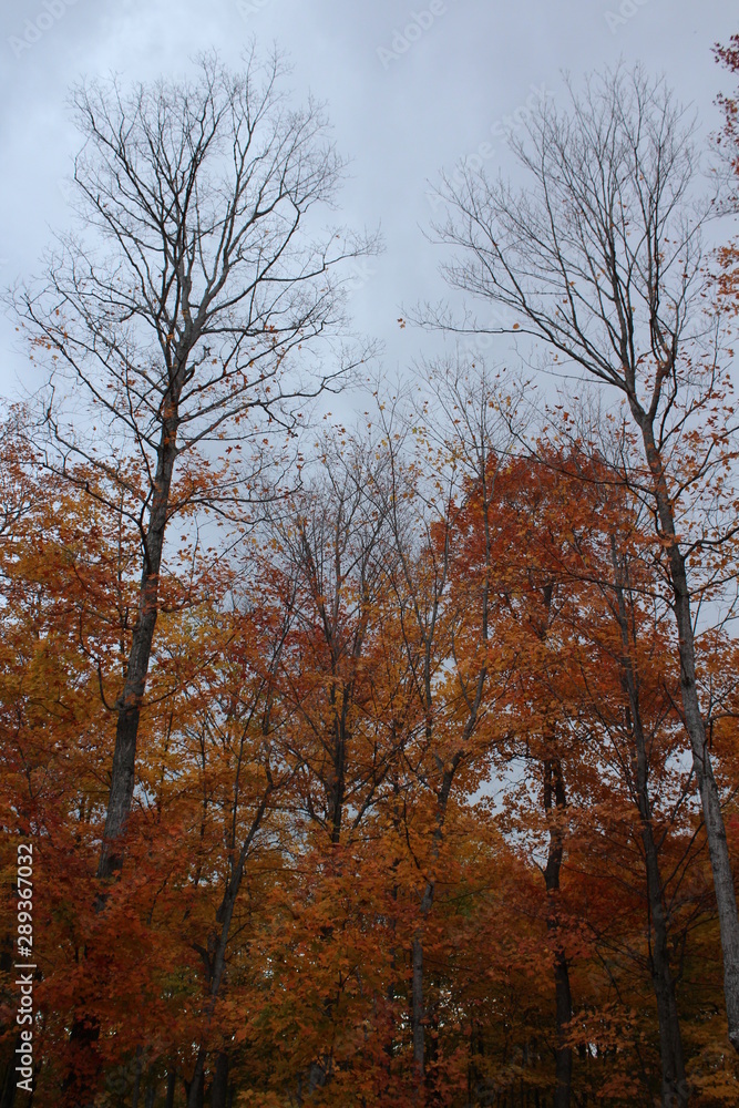 Fototapeta premium Autumn stormy sky