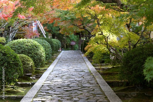 寺　庭　紅葉