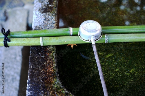 水　寺　庭　柄杓　紅葉　竹