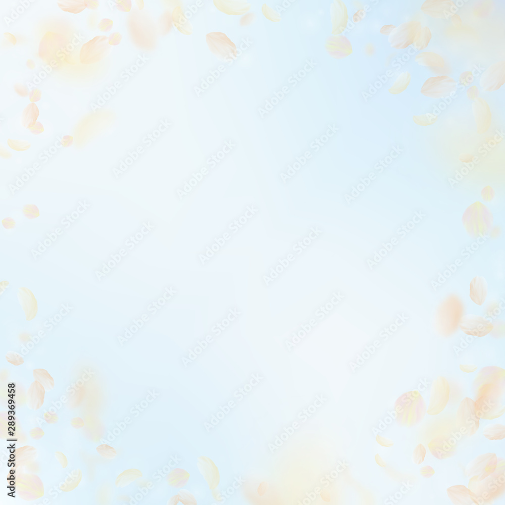 Yellow orange flower petals falling down. Fair rom Yellow orange flower petals falling down. Fair rom