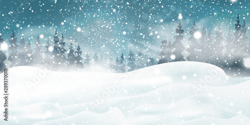 Christmas, Snowy Woodland landscape. Holiday winter landscape for Merry Christmas with Snowstorm, blizzard, firs, coniferous forest, snow, snowflakes. Christmas scene. Happy new year.