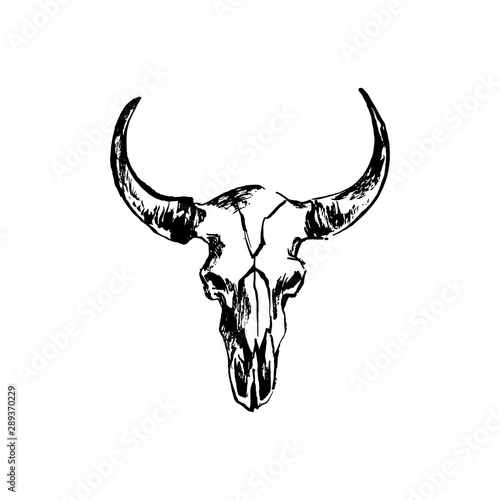 Hand drawn bison skull. Buffalo cranium vector illustration. Cow head bone black isolated on white background