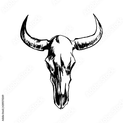 Hand drawn bison skull. Buffalo cranium sketch vector illustration. Cow head bone black isolated on white background
