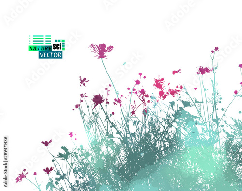 The silhouette of grass with flowers in the meadow. Vector illustration