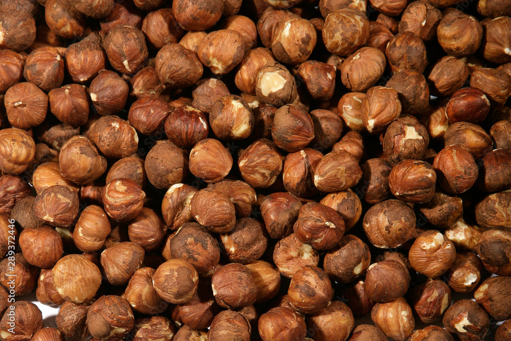 background of hazelnuts background of hazelnuts