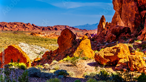 The colorful red rock formations along the Fire Wave Trail in the Valley of Fire State Park in Nevada, USA © hpbfotos