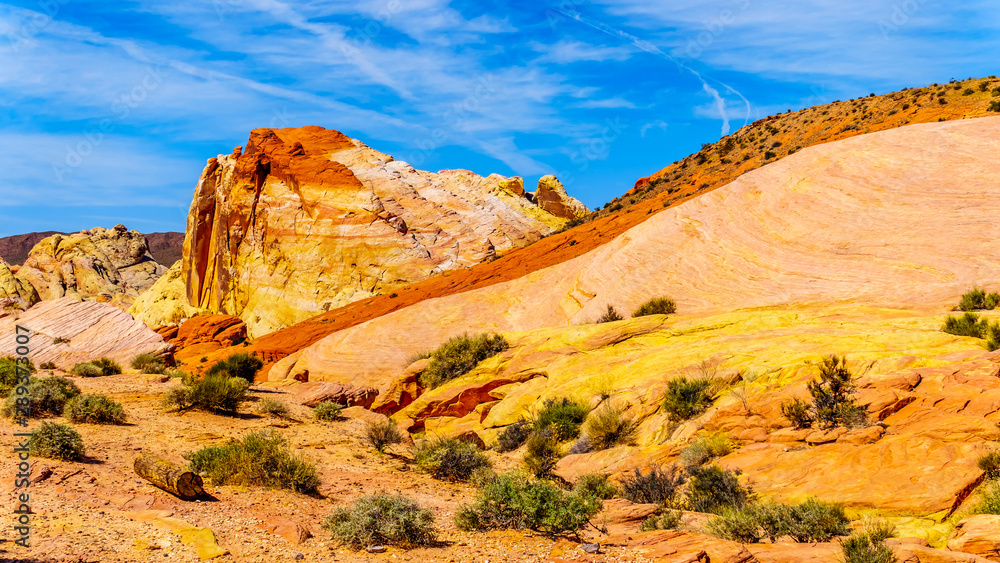Fototapeta premium The colorful red, yellow and white banded rock formations along the Fire Wave Trail in the Valley of Fire State Park in Nevada, USA
