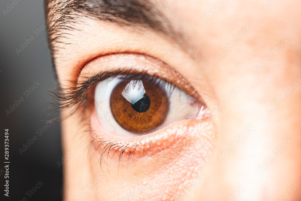 Fototapeta premium Macro image of human brown eye - close up view of man brown eye