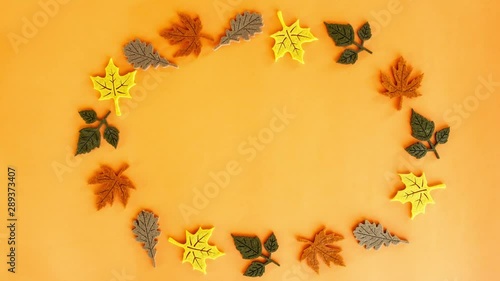 Stop motion animation of beautiful colorful autumn leaves standing in a circle and spinning around its axis on orange background