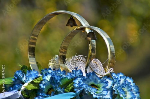 wedding rings on flowers