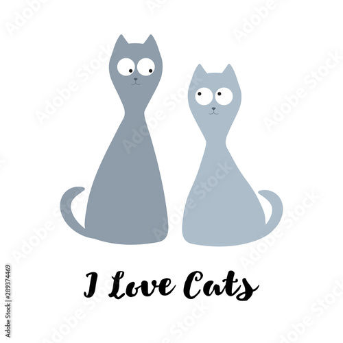 Two funny cute cats seating together and look to each other