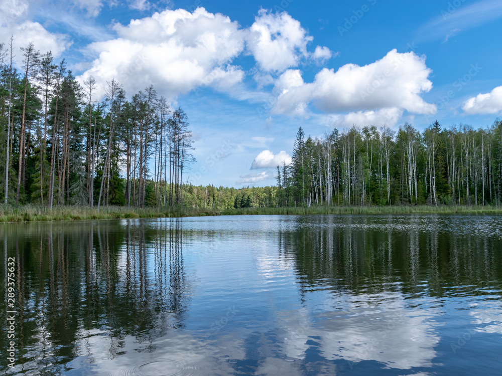 Fototapeta premium beautiful lake view, beautiful sky, Calm lake reflection against the blue sky with white clouds, Valdis lake, Turna, Latvia